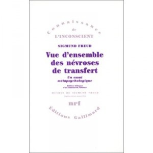 Vue D'ensemble Des Nevroses De Transert - Sigmund Freud