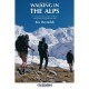 Walking In The Alps - Reynolds