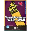 Wap , Maitriser Internet Et Le Telephone Portable - Olivier Pavie