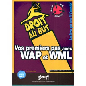 Wap , Maitriser Internet Et Le Telephone Portable - Olivier Pavie