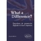 What A Difference? Questions De Grammaire Anglaise Et Leurs Reponses - Servian