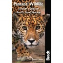 Wildlife Of The Pantanal - James Lowen