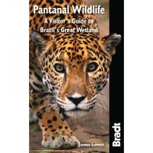 Wildlife Of The Pantanal - James Lowen