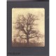 William Henry Fox Talbot - Geoffrey Batchen