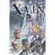 X-men , Jeunes Filles En Fuite - Collectif