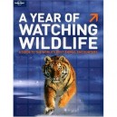 A Year Of Watching Wildlife , A Guide To The World's Best Animal Encounters - David Lukas