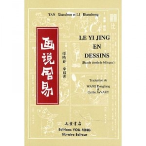 Yijing En Dessins - Collectif