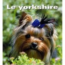 Yorkshire - Collectif