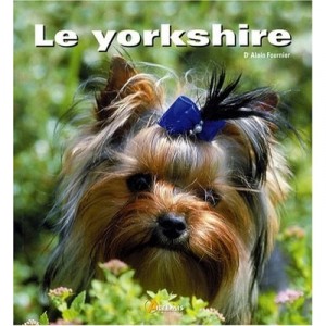 Yorkshire - Collectif