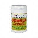 Boswellia - Ayur-Vana
