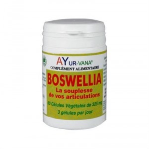 Boswellia - Ayur-Vana