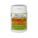 Boswellia - Ayur-Vana