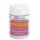Shatavari Bio - Ayur-Vana