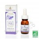 BALLOT FLURIN - Elixir Corbeille à Pollen - 15ml (Ballot-Flurin)