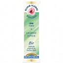 Biofloral Fleurs de Bach Chêne - flacon 20ml