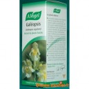 Galéopsis - 50 ml (Bioforce)