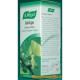 Ginkgo - 50 ml (Bioforce)