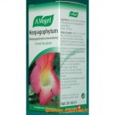 Harpagophytum - 50 ml (Bioforce)