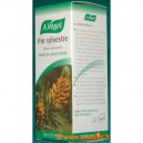 Pin Sylvestre - 50 ml (Bioforce)
