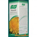 Pissenlit - 50 ml (Bioforce)