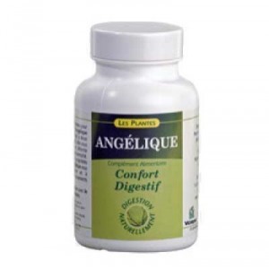 Angélique 250 mg - Boutique Nature