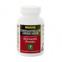 Chrysantellum Americanum 250 mg - Boutique Nature