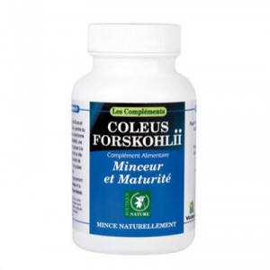Coleus Forskohlii (Plante + Extrait) - Boutique Nature