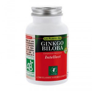 Ginkgo Biloba - 90 Capsules - Nature Boutique