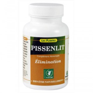 Pissenlit 270 mg - Boutique Nature