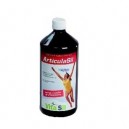 Articulasil buvable - 500 ml - Dexsil (Dexsil)