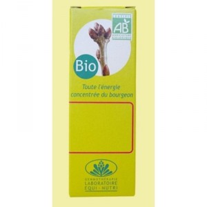 Figuier bio - Gemmothérapie - Equi Nutri