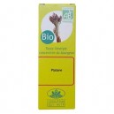 Platane bio - Gemmothérapie - Equi Nutri