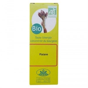 Sycamore bio - Gemmotherapy - Nutri Equi