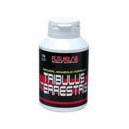 Futurelab Tribulus Terrestris