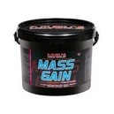 Prise de masse Mass Gain (Futurelab)
