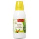 Draineur - Anticellulite Beaute Naturelle Detox au Kinkeliba (Gayelord Hauser)