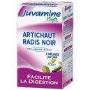 Artichaut radis noir (Juvamine)