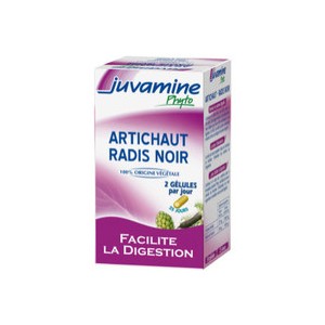 Artichaut radis noir (Juvamine)