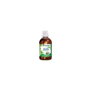 Brûleurs de graisse The Vert Guarana Boisson (Juvamine)