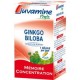 Ginkgo Biloba (Juvamine)