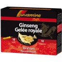 Ginseng Gelée Royale Ampoules (Juvamine)
