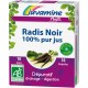 Radis noir - Dépuratif - Drainage (Juvamine)