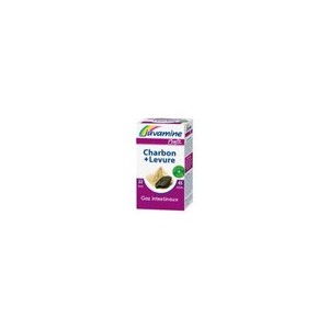 Wellness Charbon Levure Gaz Intestinaux Phyto (Juvamine)