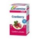 Wellness Cranberry Confort Urinaire (Juvamine)