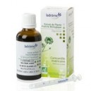Camomille Matricaire bio - Extrait de Plantes Fraîches - Ladrôme (Ladrôme)