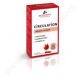 LES 3 CHENES PHYTOTHERAPIE Circulation - Boîte de 30 comprimes (Les 3 Chenes)
