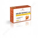 LES 3 CHENES PHYTOTHERAPIE Gelee Royale - Boîte de 10 ampoules (Les 3 Chenes)