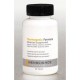 MenScience - Formule Thermogénique - 60 p