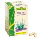 Aloé Véra Bio - Bioconseils - Ponroy (Ponroy)