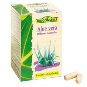 Aloé Véra Bio - Bioconseils - Ponroy (Ponroy)